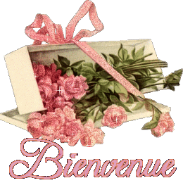 Gif animé bienvenue fleurs